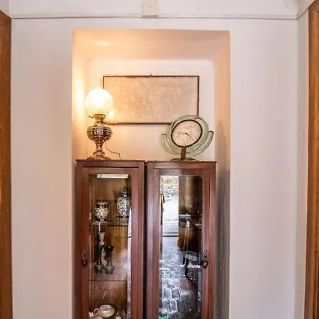 빌라 Villa Giulia